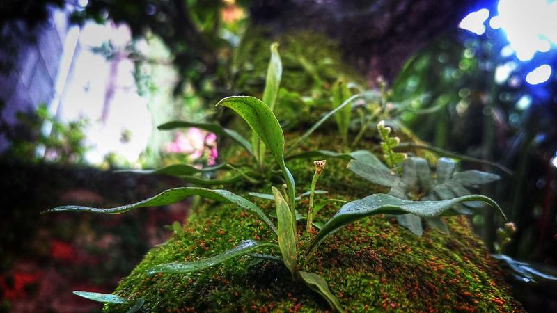 Featured image for Agent101 Net article