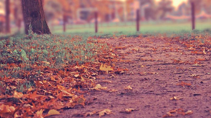 Featured image for Agent101 Net article