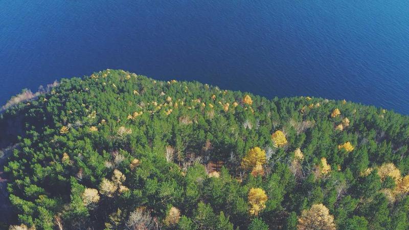 Featured image for Agent101 Net article