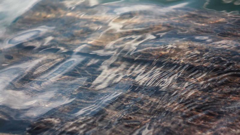 Featured image for Agent101 Net article