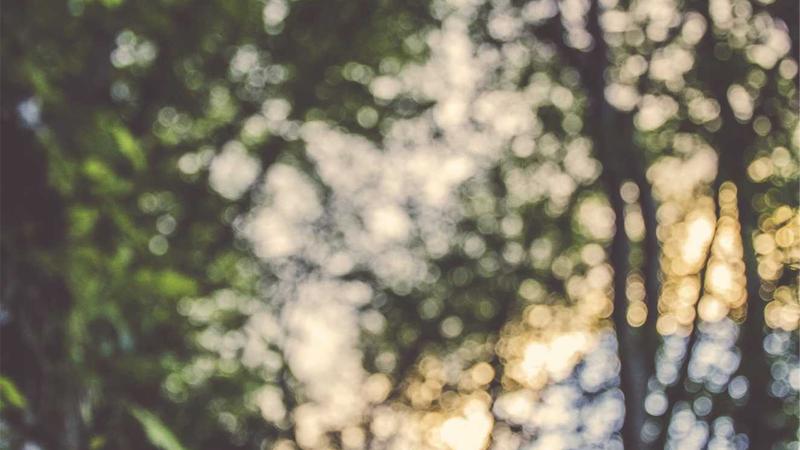 Featured image for Agent101 Net article