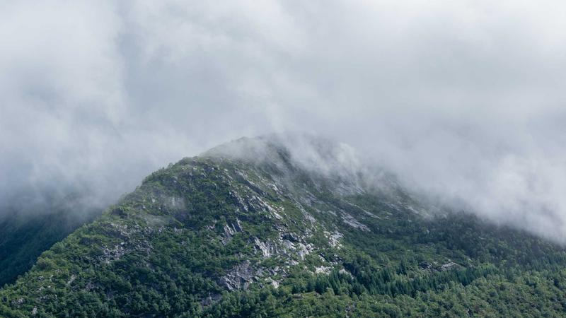 Featured image for Agent101 Net article