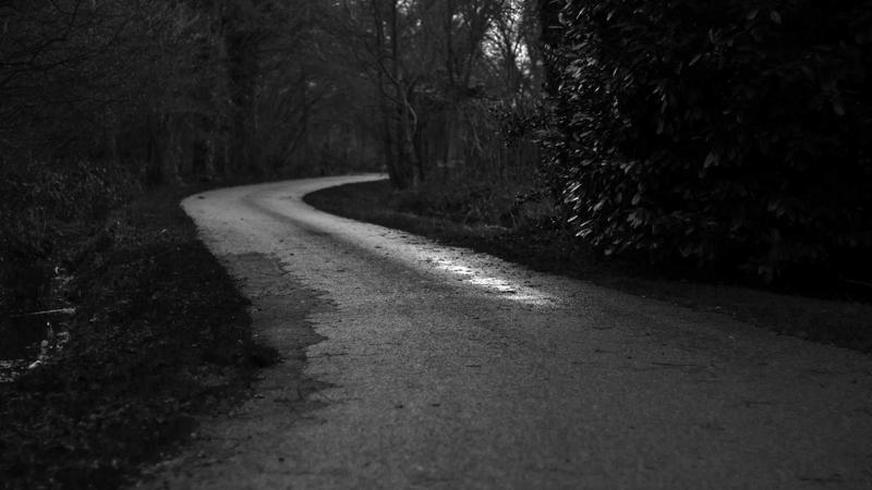 Featured image for Agent101 Net article