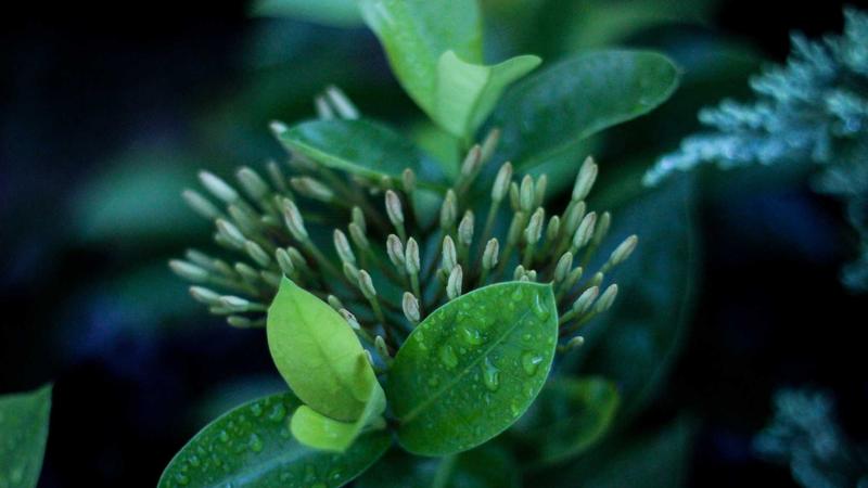 Featured image for Agent101 Net article