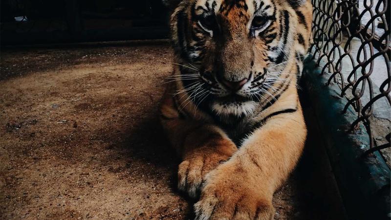 Featured image for Agent101 Net article