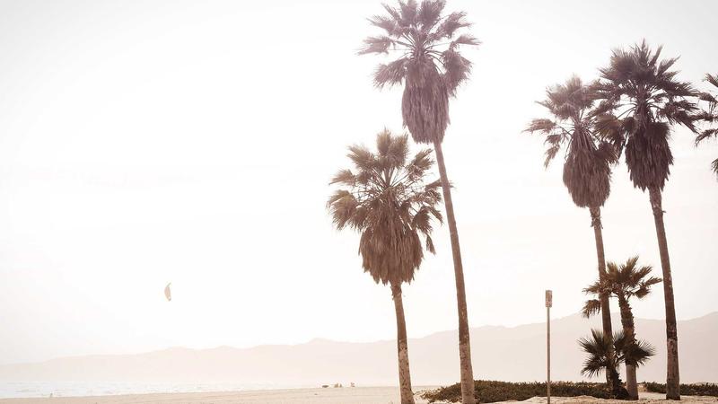 Featured image for Agent101 Net article