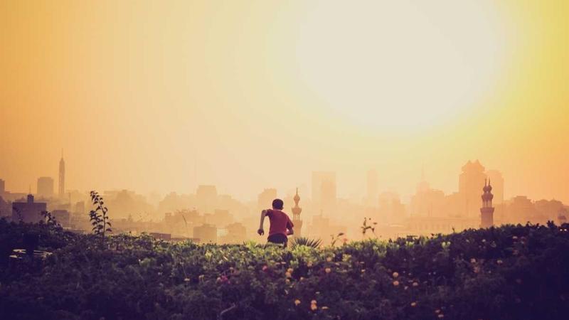 Featured image for Agent101 Net article