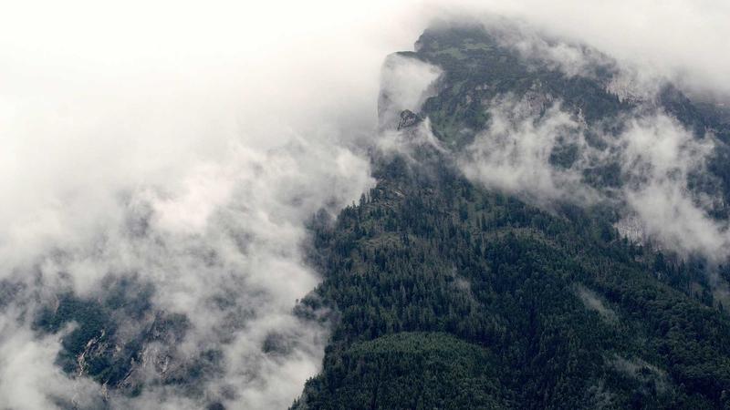 Featured image for Agent101 Net article