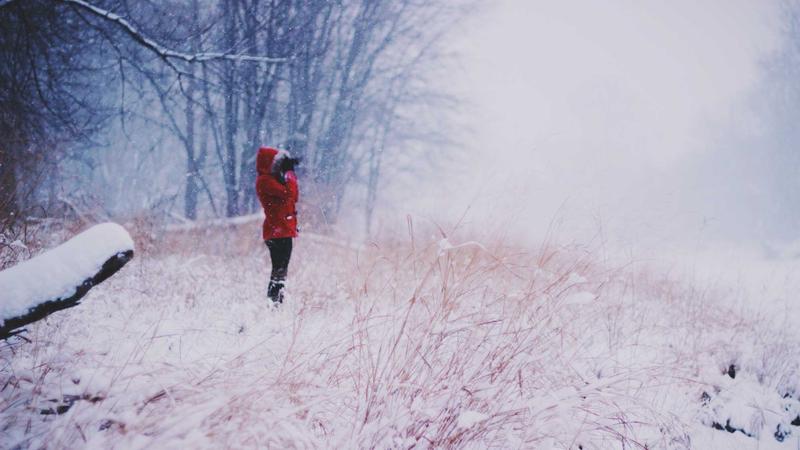 Featured image for Agent101 Net article